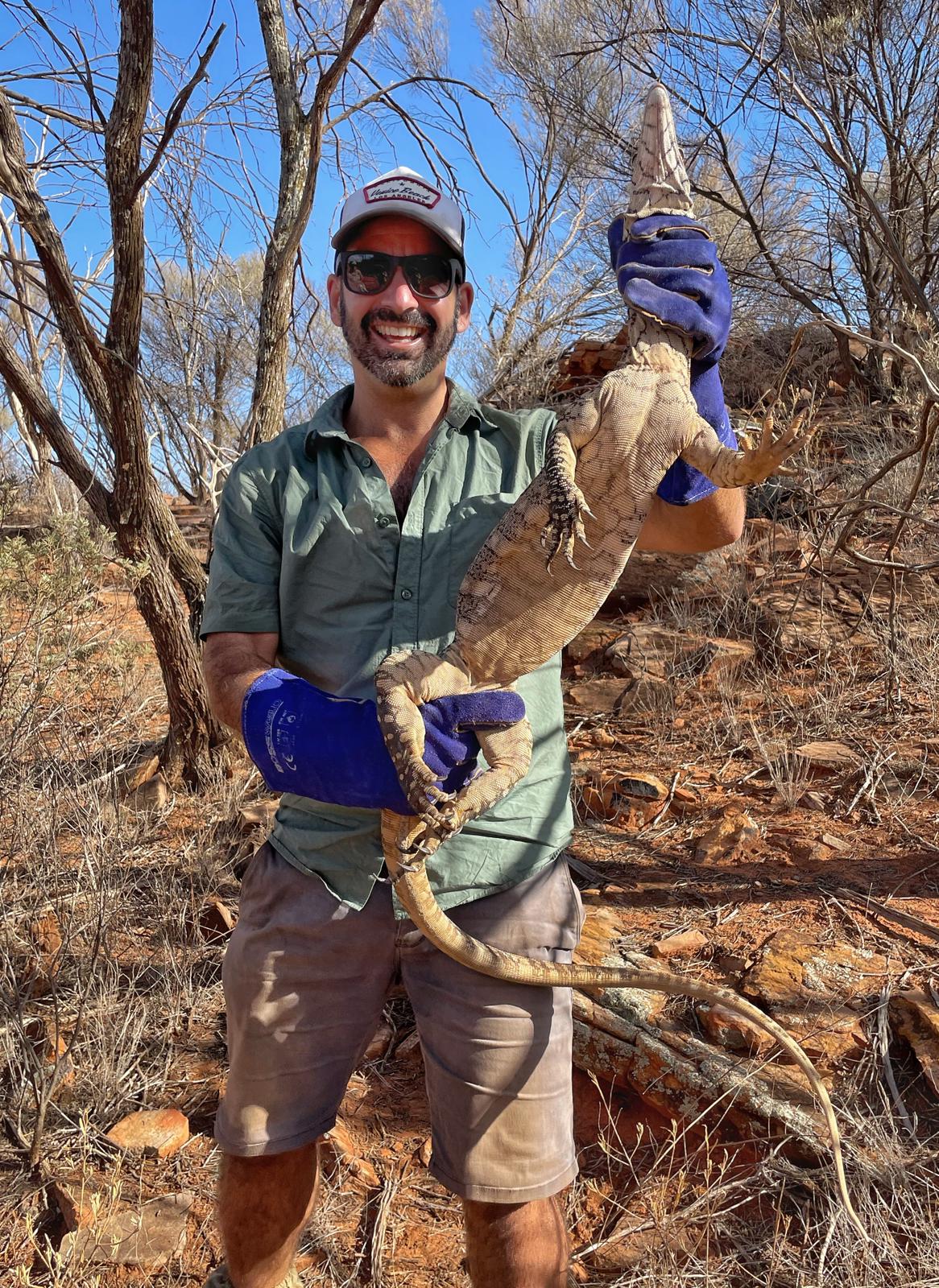 Christofer Clemente, the head of the animal biomechanics and biorobotics lab, holding a Perentie Lizard on a research trip in the Northern Territory, Australia