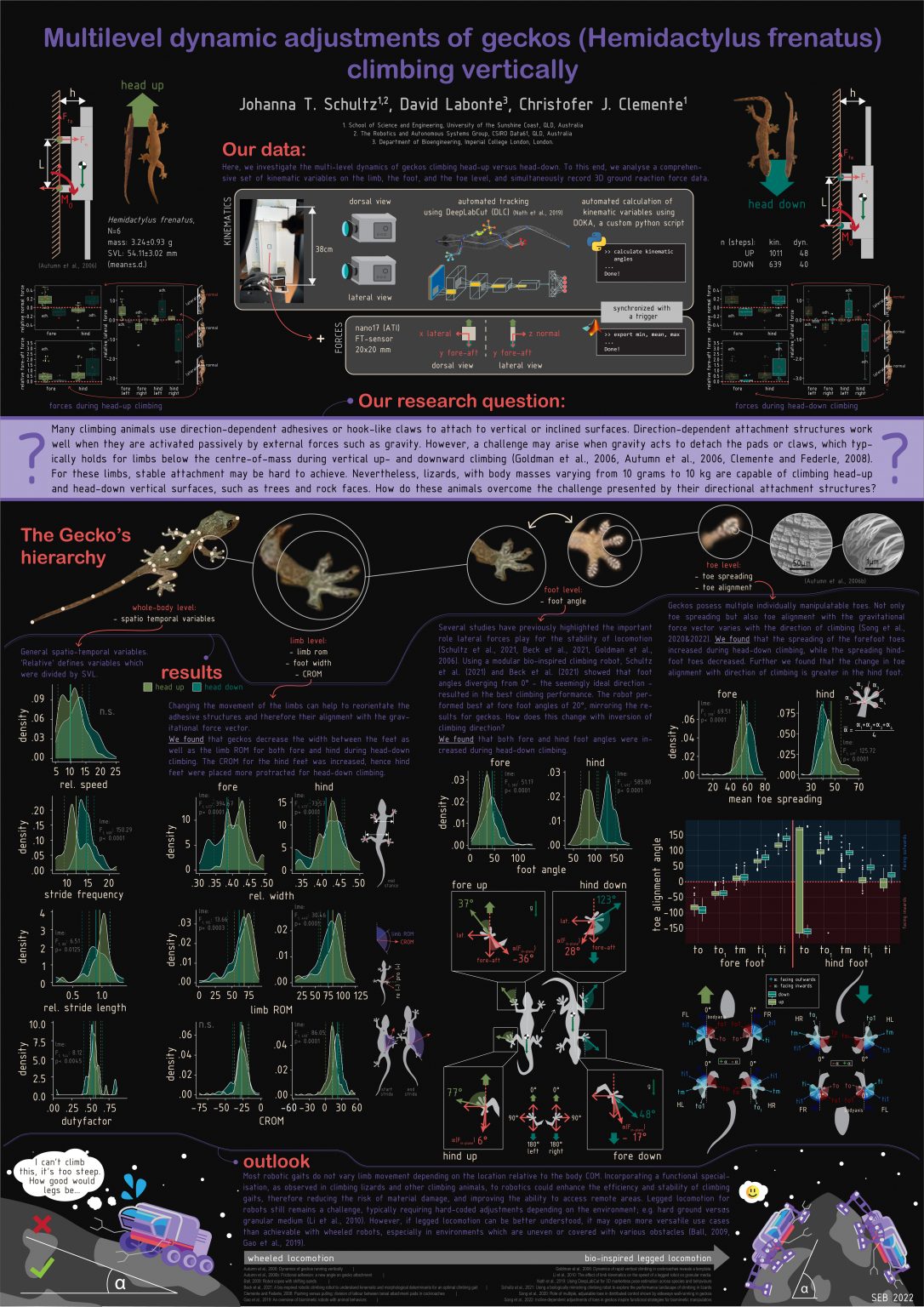 Poster for the SEB conference 2022 - Head up vs Head down climbing dynamics of Geckos